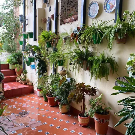 Casa Pepe * فرنجلوش